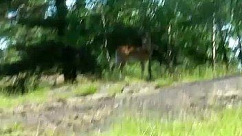 Amateur teen girlfriend sucks and fucks outdoor