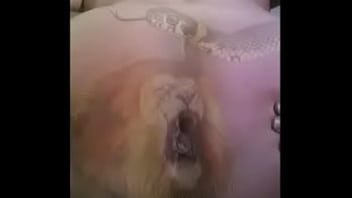 Moronica Happy And Dancing Moro Thom thumbnail