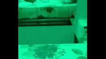 Vídeo de verificação