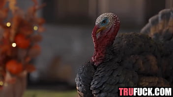 Like thanksgiving turkey