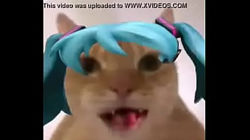 La mikufiesta 100% real no fake