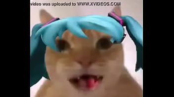 La mikufiesta 100% real no fake
