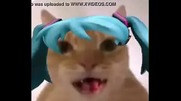 La mikufiesta 100% real no fake