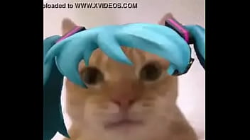 La mikufiesta 100% real no fake