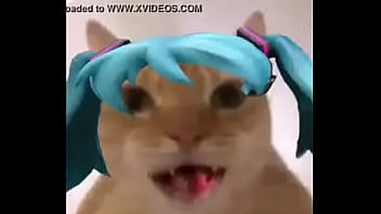La mikufiesta 100% real no fake