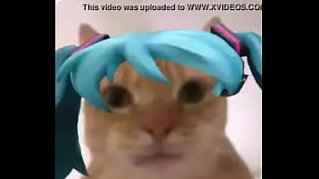 La mikufiesta 100% real no fake