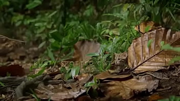 Pepitogalaxy chat content #127 videoplayback small may 16 2024