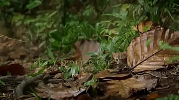 Pepitogalaxy chat content #127 videoplayback small may 16 2024