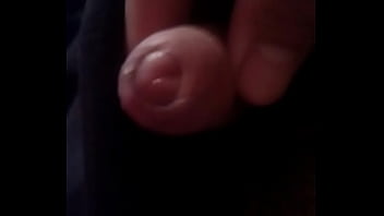 Penis Penis