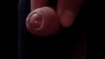 Penis Penis