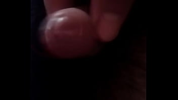 Penis Penis