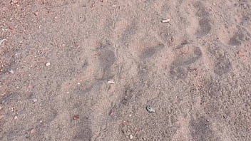 Blowjob in public on the beach friend's wife cheating