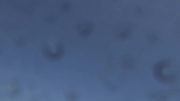 "romance en la ¡tsunami dice 'corten ' en pleno clímax "