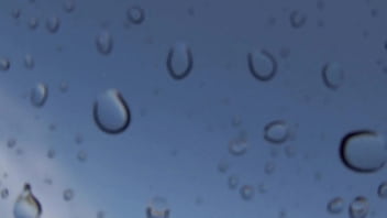 "romance en la ¡tsunami dice 'corten ' en pleno clímax "