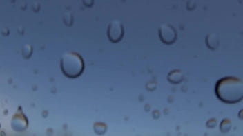 "romance en la ¡tsunami dice 'corten ' en pleno clímax "