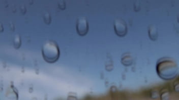 "romance en la ¡tsunami dice 'corten ' en pleno clímax "