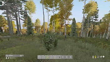 En El Bosque Me Encuentro Un Oso thumbnail