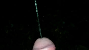 Pissing in the woods by night