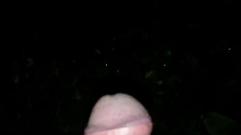 Pissing in the woods by night