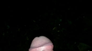 Pissing in the woods by night