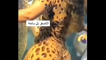 فيديو التحقق