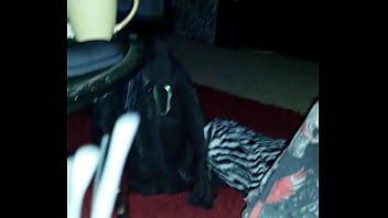 Trim trim vid 20150407 071717 001 002