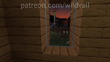 Minecraft couple fucks