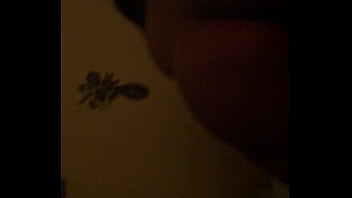 Have have my dinner ready by 9 30 don't let me have to tell you again