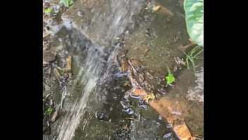 Tiatinkles outside tinkles img 2891 aug 12 2025