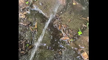 Tiatinkles outside tinkles img 2891 aug 12 2025