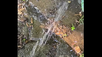 Tiatinkles outside tinkles img 2891 aug 12 2025