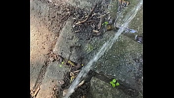 Tiatinkles outside tinkles img 2891 aug 12 2025