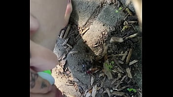 Tiatinkles outside tinkles img 2891 aug 12 2025