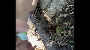 Tiatinkles outside tinkles img 2891 aug 12 2025