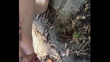 Tiatinkles outside tinkles img 2891 aug 12 2025