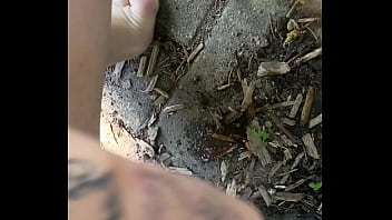 Tiatinkles outside tinkles img 2891 aug 12 2025