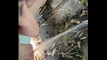 Tiatinkles outside tinkles img 2891 aug 12 2025