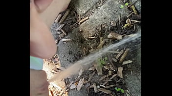 Tiatinkles outside tinkles img 2891 aug 12 2025