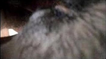 29marzo2016sexpe1 thumbnail