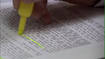 The office abertura priemria temporada