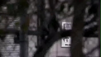 The office abertura priemria temporada