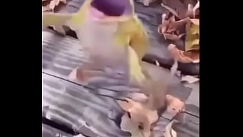 Sapo safado dando mortal