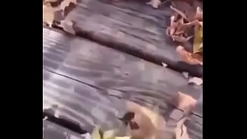 Sapo Safado Dando Mortal thumbnail