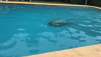 Big cock in the water