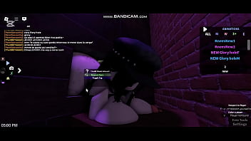 Fui a esta casa para que me den todo terminé fallando