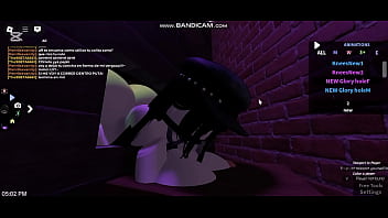 Fui a esta casa para que me den todo terminé fallando