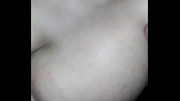 A little fun while the cats away