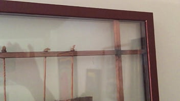 Edenism originator bill freeland