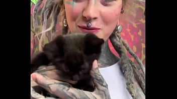 Kittens kittens kittens what’s your favorite kitten moment #kittenobsession #furry #cuddlebuddies #inkedmode