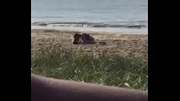 La Paloma 2016 thumbnail